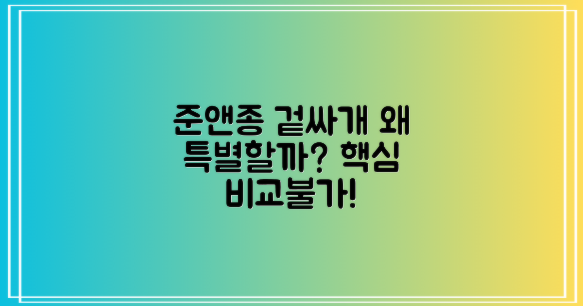 준앤종 겉싸개, 왜 특별할까요?