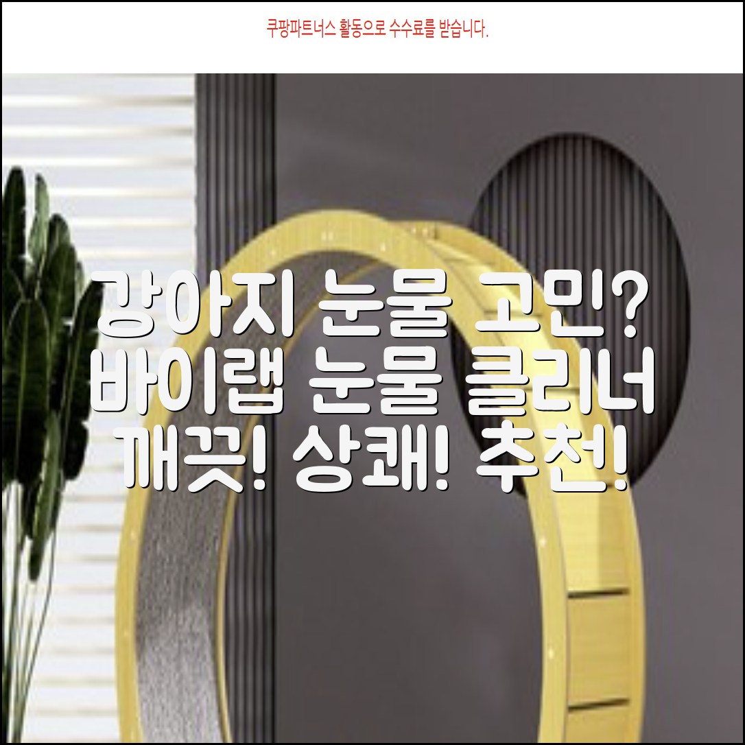 바이랩 강아지 눈물자국 눈 눈물냄새 세정 아이클리너, 40ml, 1세트 추천 리뷰