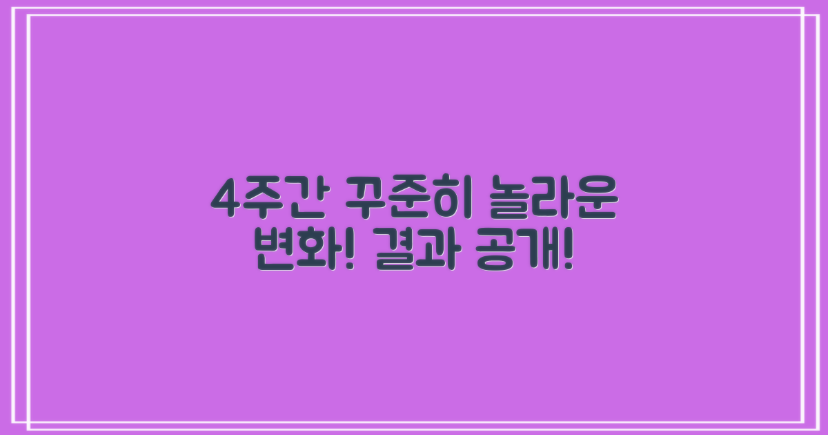 4주간 꾸준히 사용