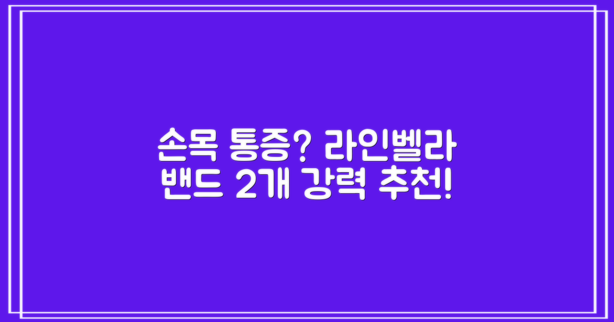 라인벨라 의료용 손목 압박용 밴드 블랙, 2개 추천 리뷰