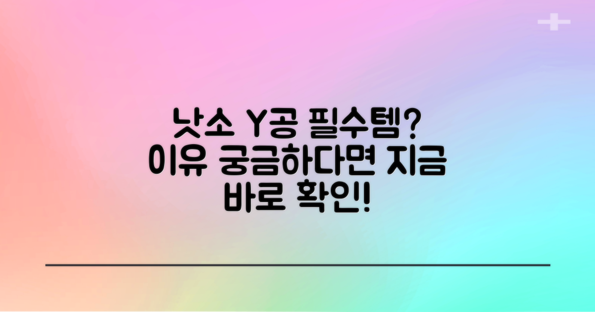 낫소 Y공, 왜 추천할까