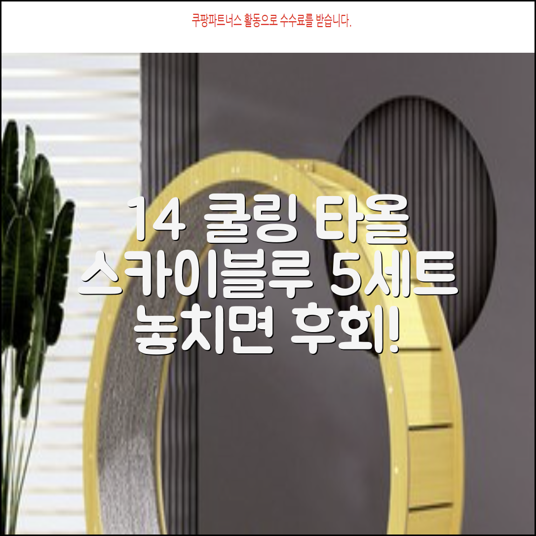 [쿠팡입점 1+4 이벤트] 아이스 쿨링 스포츠타올 건식 급냉 타올, 5세트, 스카이블루 추천 리뷰