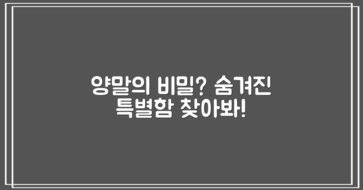 이 양말, 어떤 점이 특별할까?