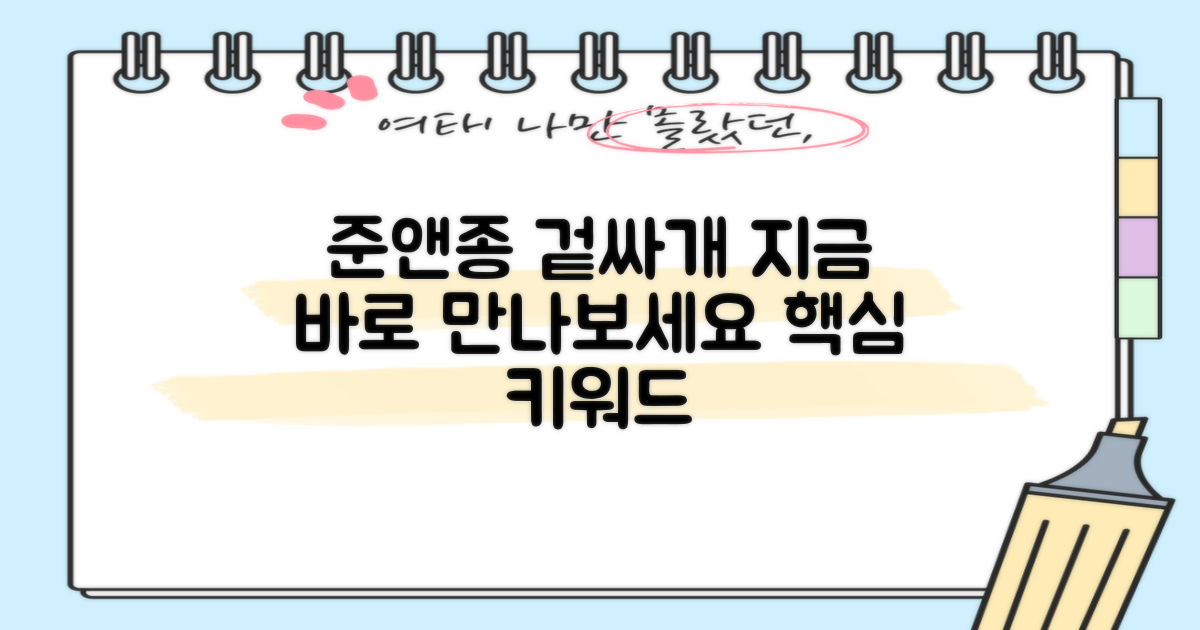 지금 바로 준앤종 겉싸개 만나보세요!